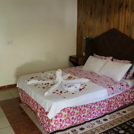 Garden Guest house