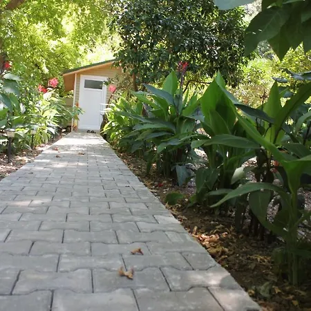 Guest house Garden