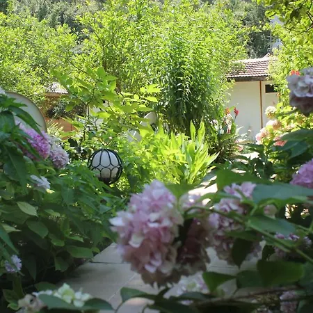 Guest house Garden
